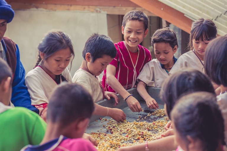 Begutachten und Sortieren der Bohnen