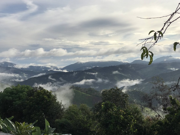 Blick in die Ferne auf grüne dicht bewachsene Berge