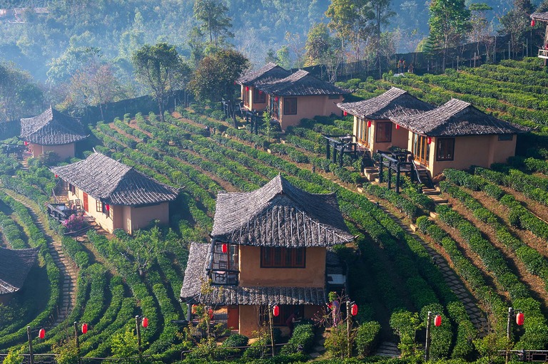 Kaffeeanbau in den Bergdörfern