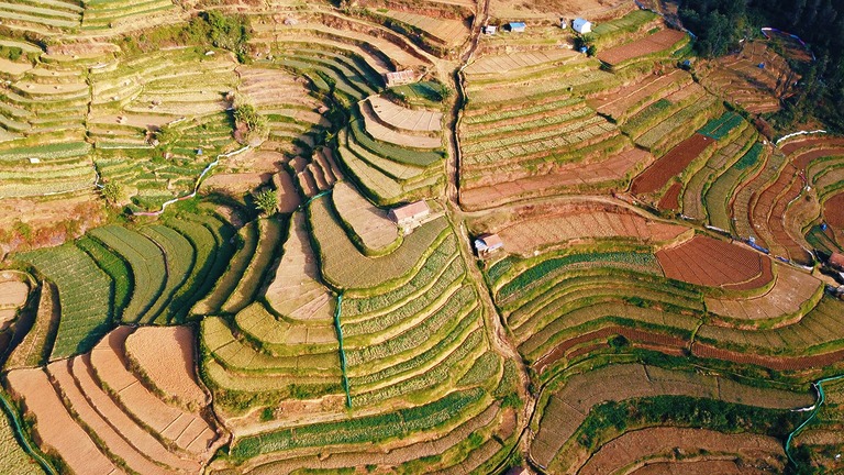Landwirtschaftliche Ausbildung