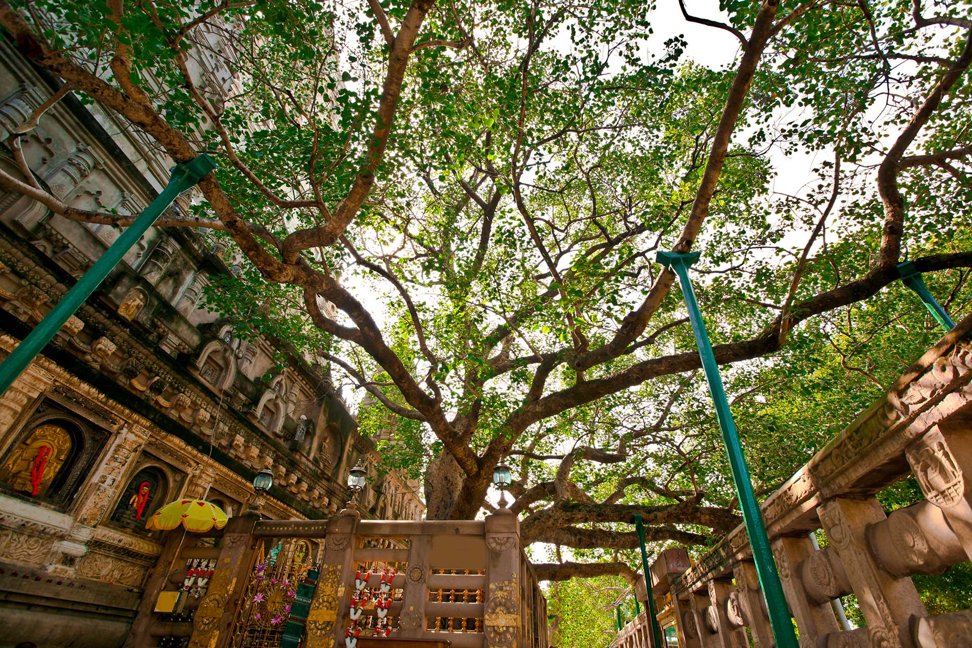 Bodh Gaya, Indien