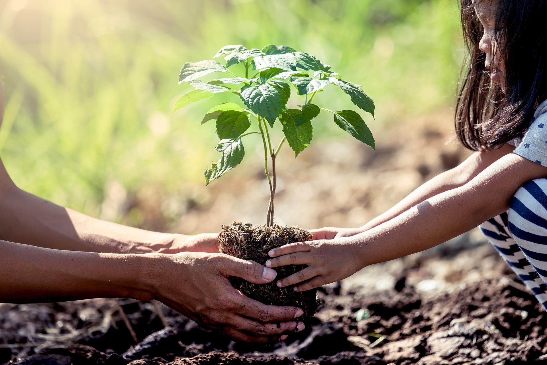 Asian little girl helping his father to plant the tree in the garden as save world concept