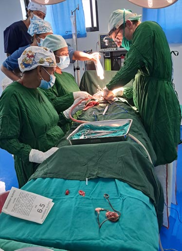 Mikrochirurgie